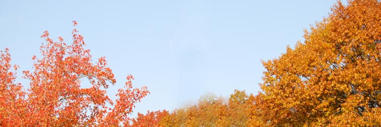 Plaza College: Events Calendar