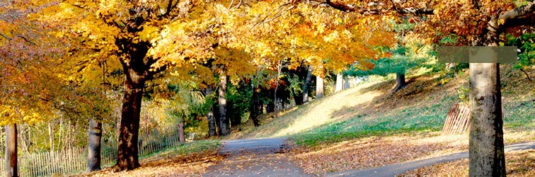 Plaza College: The ALUMNI PROFILE
